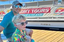 Anna Maria Dolphin Sightseeing Adventure