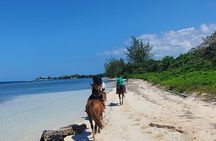 Ultimate Ocho Rios Adventure Experience