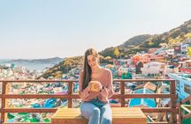 Busan Small Group Photo Tour (Max 6 Pax)