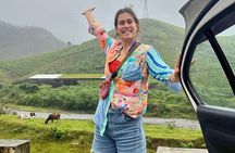 4 Day Kerala Tour Athirappilly Munnar Alleppey