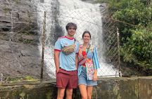 4 Day Kerala Tour Athirappilly Munnar Alleppey