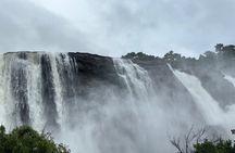 4 Day Kerala Tour Athirappilly Munnar Alleppey