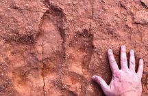 Warner Valley Dinosaur Track Site 4x4 Tour