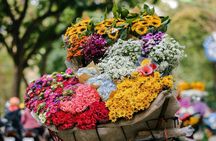 Hanoi Full-Day City Tour: Mausoleum, Temple, Pagoda & Lunch