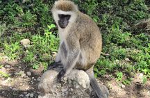 5-Days Tanzania Safari and Cultural Adventure