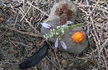 Whistler: Immersive Nature Experience for Families