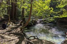 Whistler: Immersive Nature Experience for Families