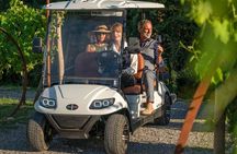 Tuscan vineyard golf cart tour with wine tasting and lunch