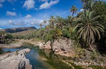 Private Guided Tour to Paradise Valley and Taghazout village