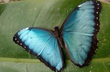 Curicancha Reserve Nature Walk 