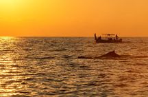 Private Tour of the Beaches of Puerto Escondido in Lancha