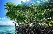 Boat Tour in 1/2 Day in the Great Ass of Sailing Bag