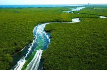 Cancun Speed Boat, Parasailing and Dolphin Beach with Transport