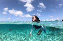 Cancun Speed Boat, Parasailing and Dolphin Beach with Transport