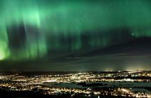 All In One Rovaniemi Day Tour with Arctic Animals and Arktikum