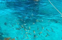 Catalina Island Tour Snorkel Beach Dominican Lunch