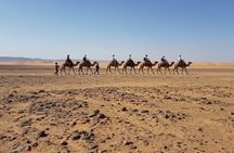 Marrakech Quad and Camel Desert Adventure 