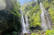  Sekumpul & Banyumala Waterfalls Trekking 