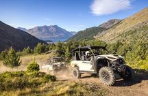 Queenstown Guided Self-Drive Buggy Tour