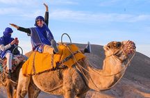 Marrakech: Agafay desert Quad, Camel, Sunset Dinner & Fire show