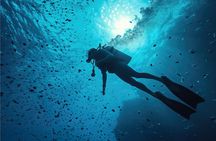 PHUKET Scuba Dive With Luxury Diving Boat