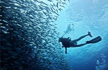 PHUKET Scuba Dive With Luxury Diving Boat