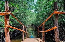 Jozani Forest & Spice Farm Guided Tour & Transfer -Zanzibar