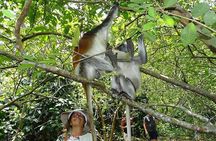 Jozani Forest & Spice Farm Guided Tour & Transfer -Zanzibar