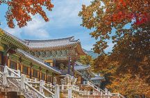 Gyeongju One-Day Tour from Daegu