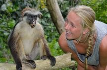 Jozani Forest & Spice Farm Experience With Transfer - Zanzibar
