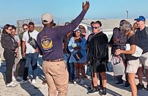 Robben Island Museum Tour