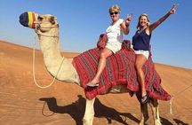 Dubai Desert Safari Adventure 