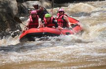 Half Day Elephant care and Whitewater Rafting Adventure
