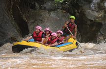 Half Day Elephant care and Whitewater Rafting Adventure
