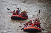 Half Day Elephant care and Whitewater Rafting Adventure