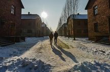 Auschwitz Birkenau and Salt Mine from Krakow
