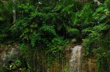 Tulum Essence Art and Photography Tour