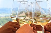 Half-day Chianti Classico Wine tour from Florence - Small Group