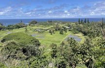 Discover Full Day Guided Tour Experience in Hana Hawaii
