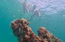 Snorkel, Kayak & Paddleboard Tour with Reefs and Sculptures
