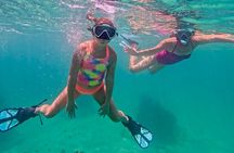 Fort Lauderdale: Snorkel, Kayak & SUP w/ Reefs & Sculptures