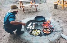 Full Day High Mountain Mendoza, Aconcagua and Inca Bridge Tour