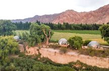 Full Day High Mountain Mendoza, Aconcagua and Inca Bridge Tour