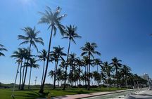 Experience the Best of Miami in a Day Tour