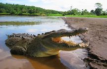 Crocodile River Adventure Tour in Costa Rica
