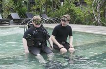 1-Day Discover Scuba Diving for non-diver