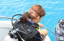 1-Day Discover Scuba Diving for non-diver