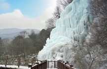 Eobi+Nami+Hanbok Tour with Rail Bike or Strawberry Option