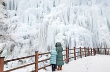 Eobi+Nami+Hanbok Tour with Rail Bike or Strawberry Option