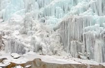 Eobi+Nami+Hanbok Tour with Rail Bike or Strawberry Option